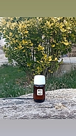 NİOLİ YAĞI( 20ML)